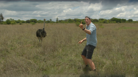 Freeks Wilde Wereld | Knokploeg met veren!