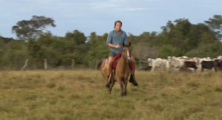 Freeks Wilde Wereld | Braziliaanse cowboys