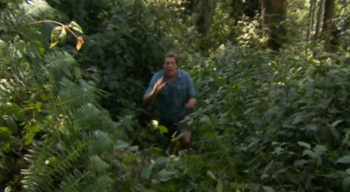 Freeks Wilde Wereld | Het groene hart van Afrika