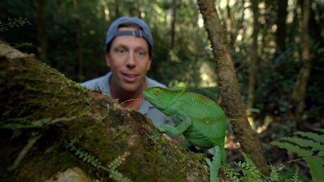 Freeks Wilde Wereld | Regenboog op pootjes