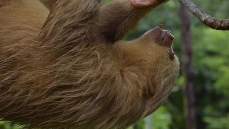 Freeks Wilde Wereld | Luilakken in nood