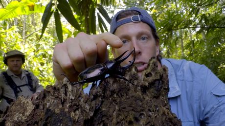 Freeks Wilde Wereld | Jungle vol verrassingen