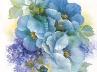 17. Blauwe klaprozen