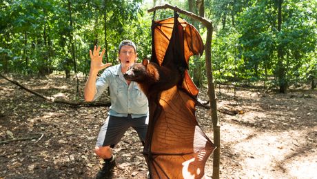 Bewoners van de Balinese batcave