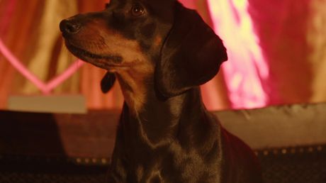 Daten met Dieren | Fabian en Marcus