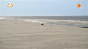 1. Welkom op Vlieland