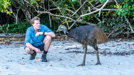 Freeks Wilde Wereld | Pas op: vreemde vogels!