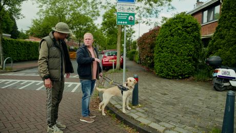 Geleidehond