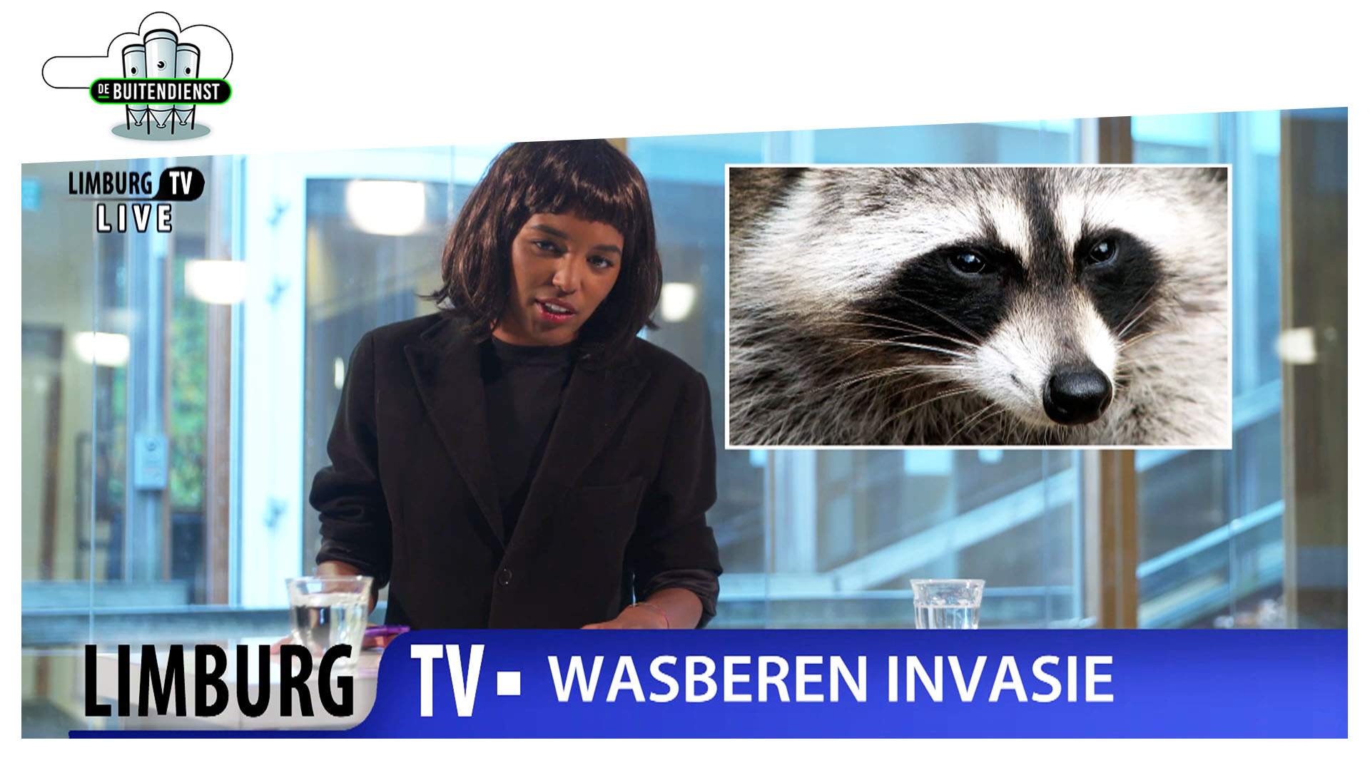 De Buitendienst  | Weg met de wasbeer?!