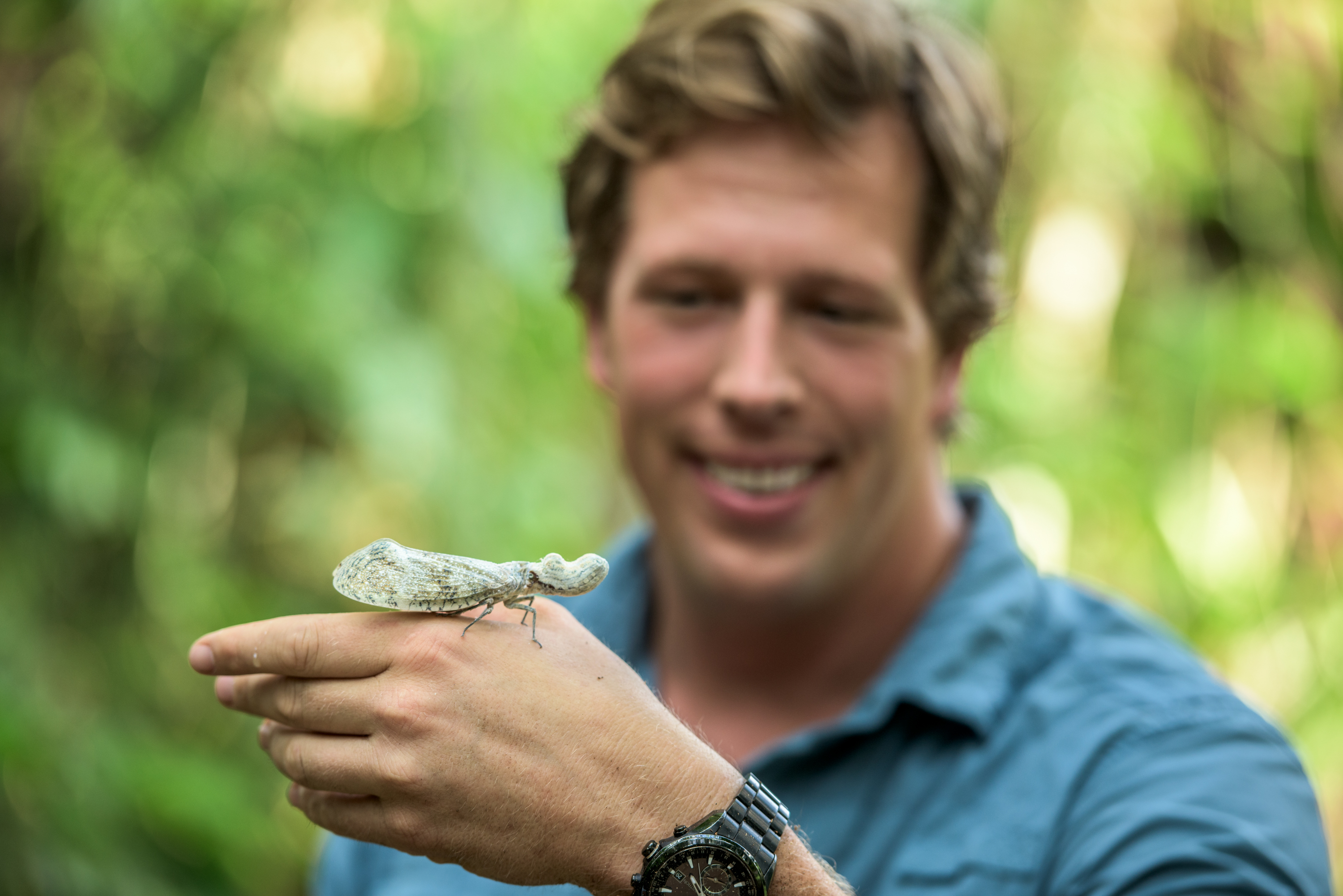Belize - Pinda's en vreemde vogels