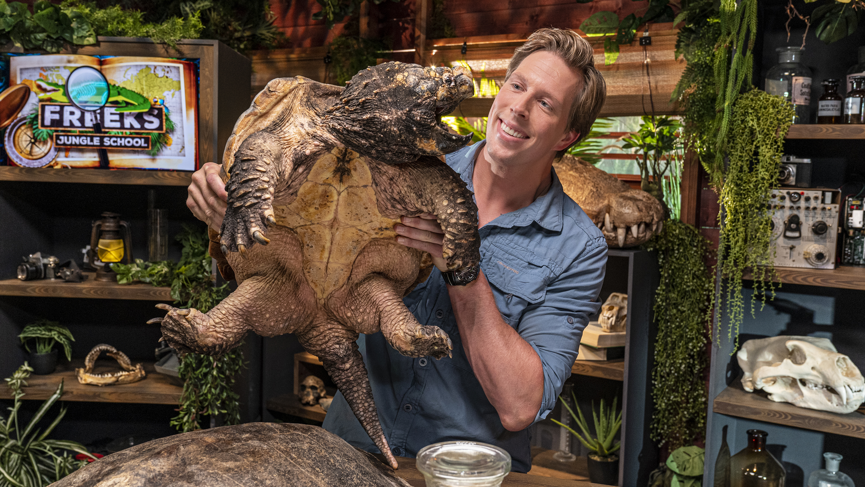 Freeks Jungle School | Lederschildpad