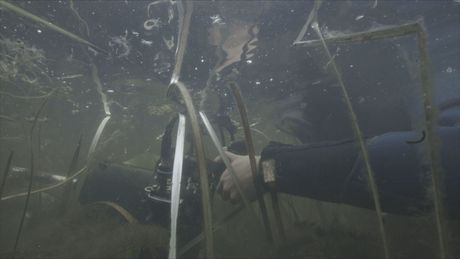 Het Klokhuis | Onderwaterfilm