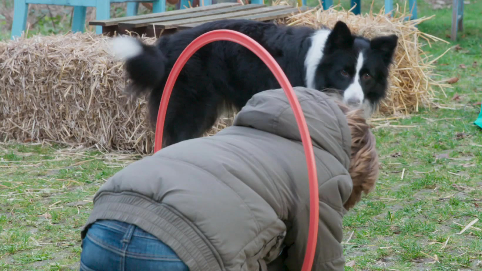 Puppy Patrol | Nora en Danny