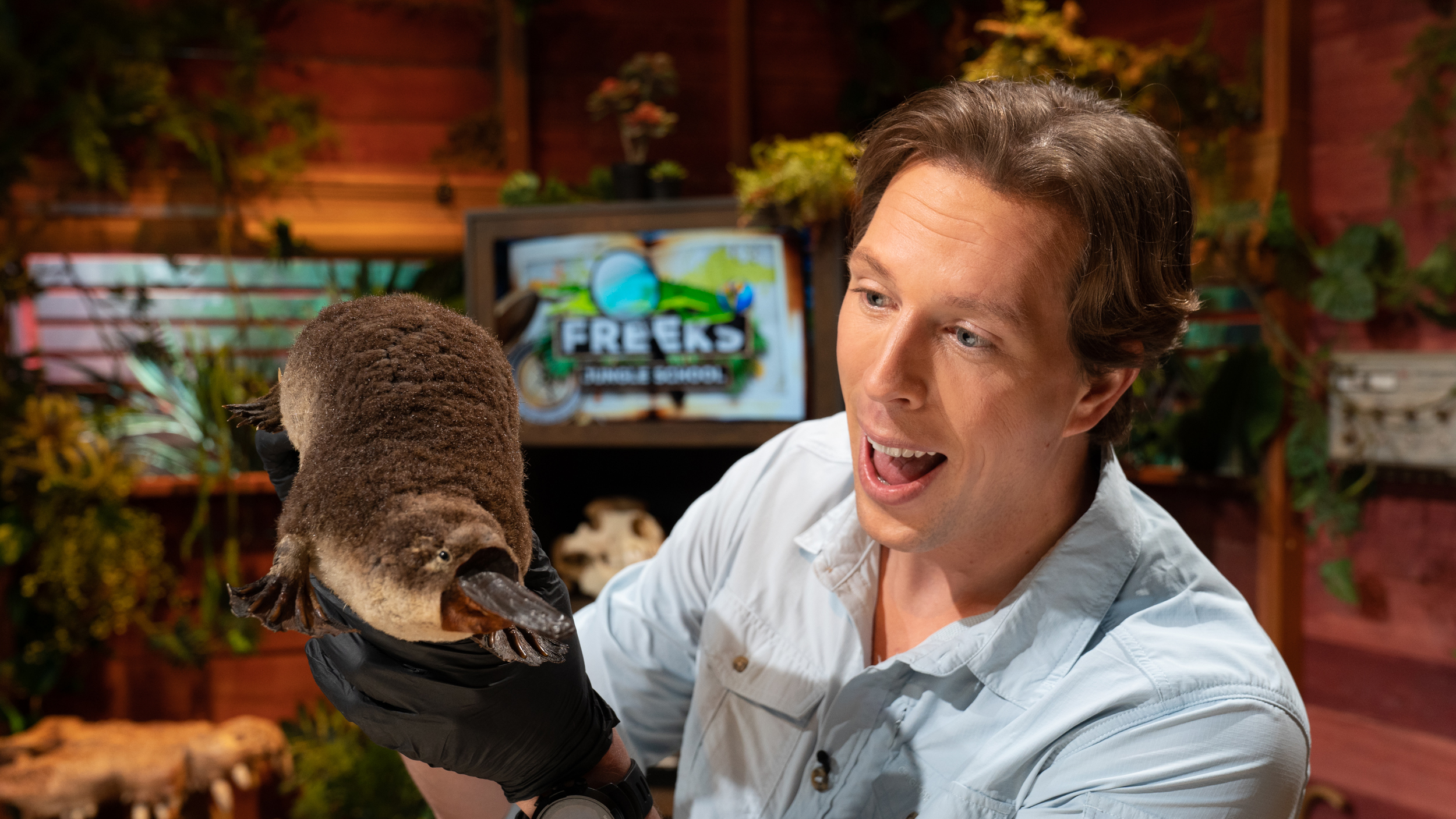 Freeks Jungle School | Vogelbekdieren