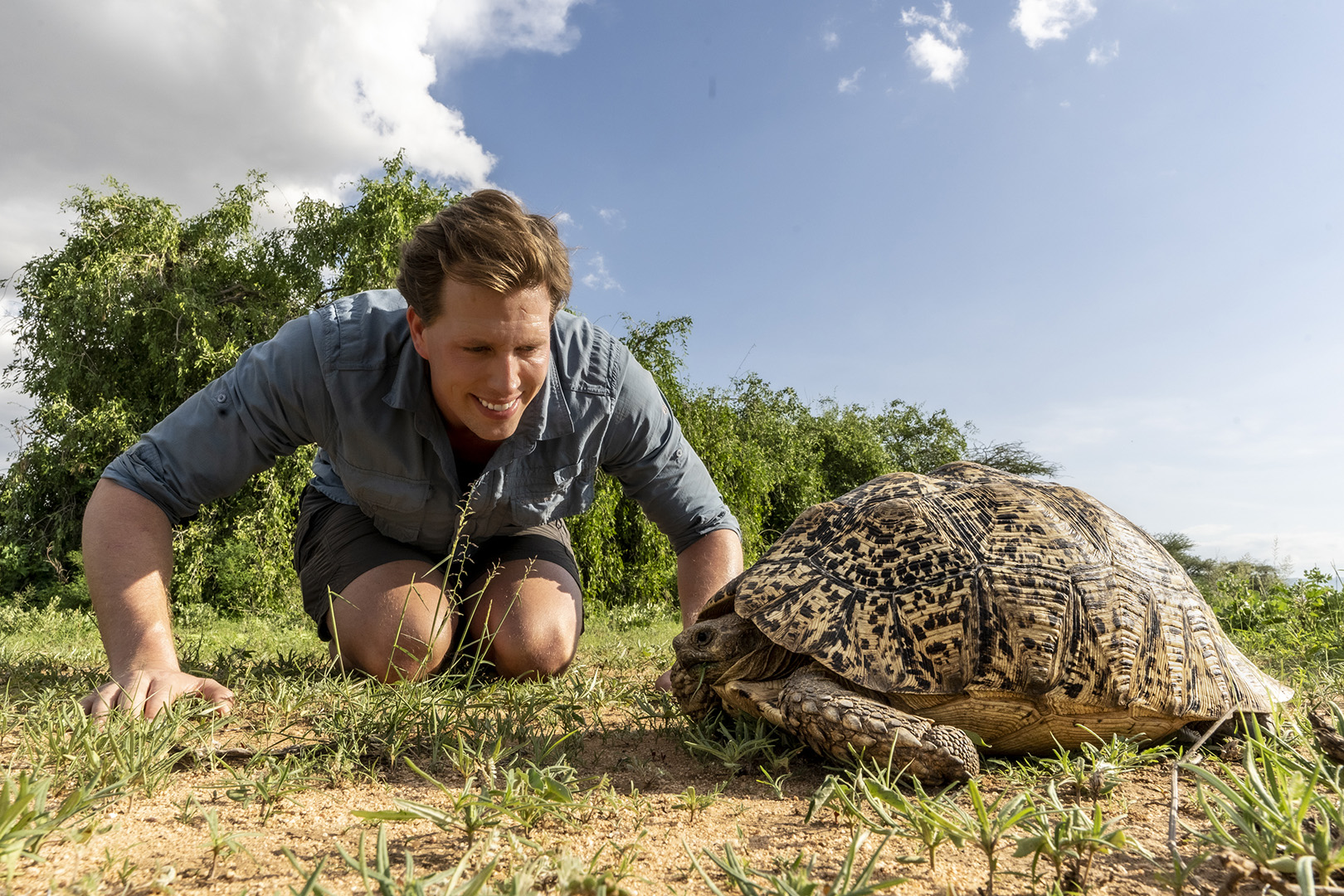 Freeks Wilde Wereld | Dierenprintjes op de savanne