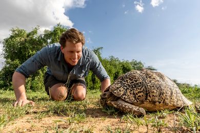 Freeks Wilde Wereld | Dierenprintjes op de savanne