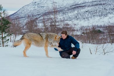 Freeks Wilde Wereld | Freek tussen de wolven