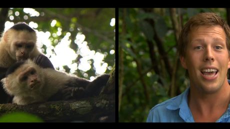Freek in het wild | Apen en aliens