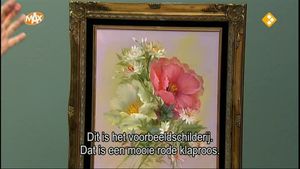 De klaproos