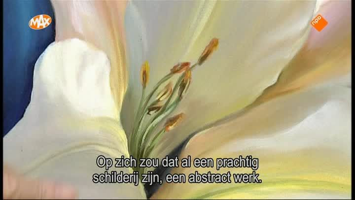 Stralende Lelie