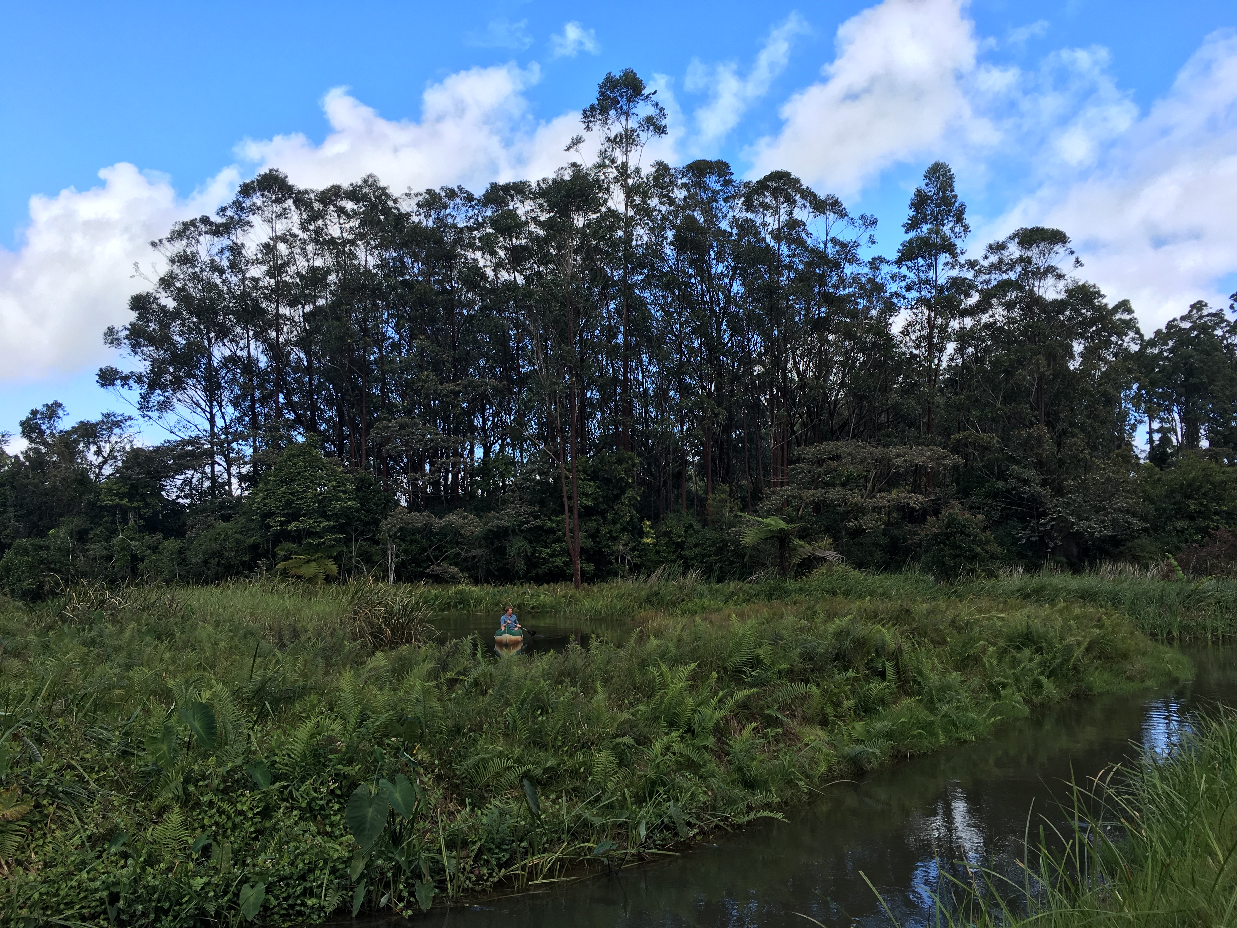 Freeks Wilde Wereld | Madagaskar - Maki's